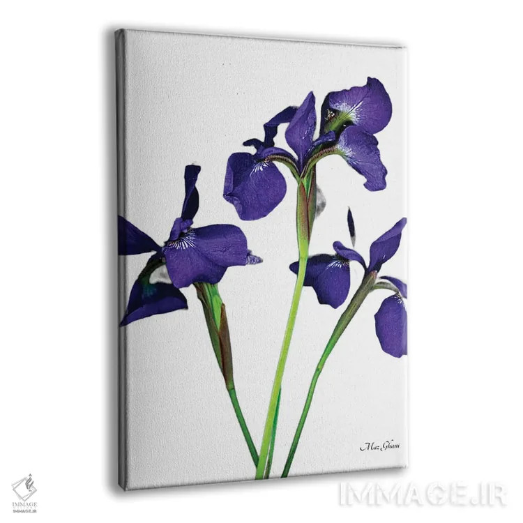 تابلو دکوراتیو شعله بنفش اثر ماز غنی - نمای پرسپکتیو محصول