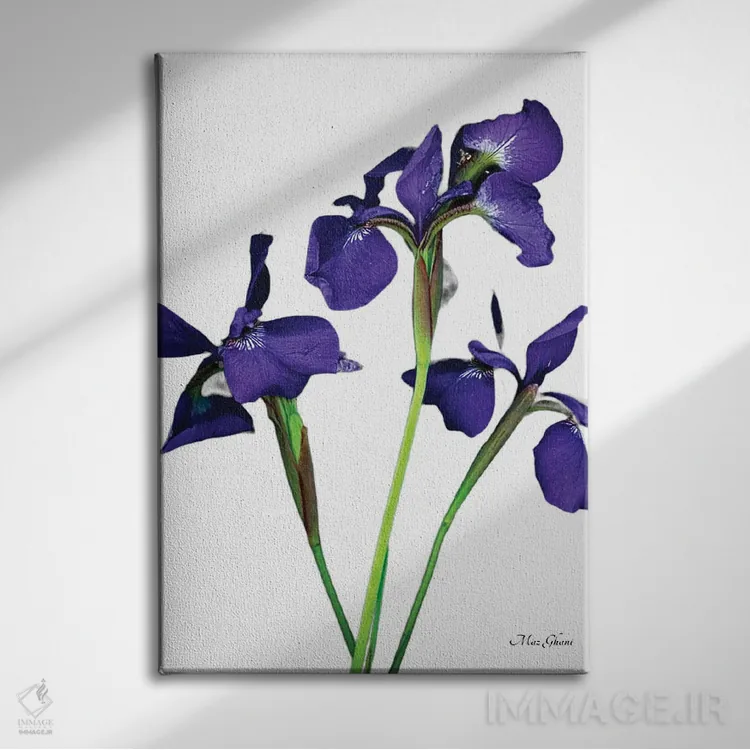 تابلو دکوراتیو شعله بنفش اثر ماز غنی - نمای روبهرو روی دیوار