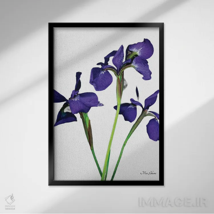 تابلو دکوراتیو شعله بنفش اثر ماز غنی - نمای قابدار مشکی