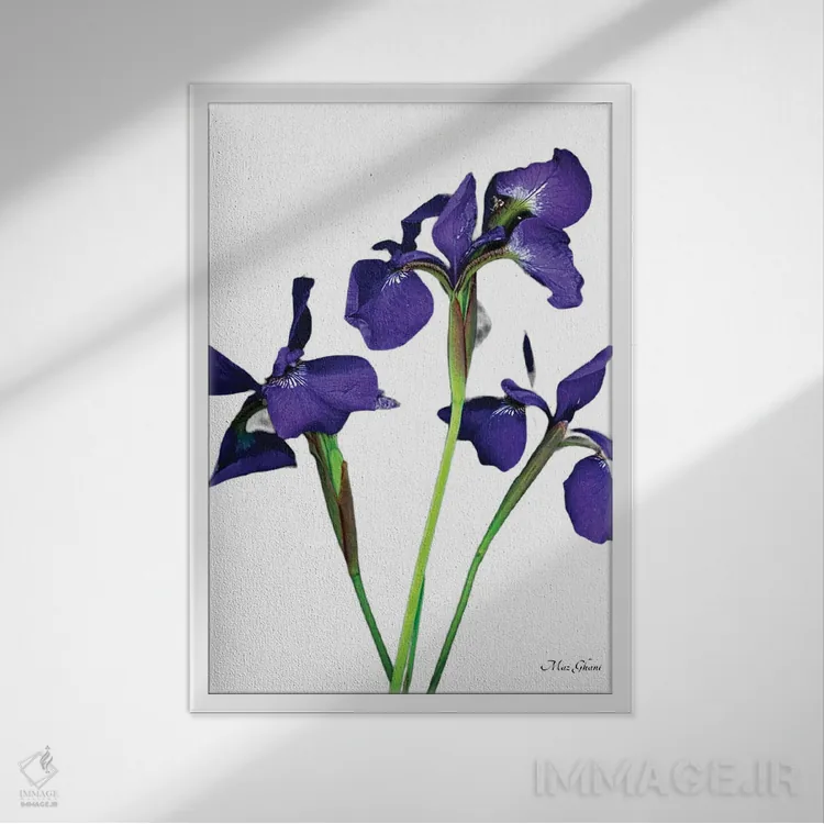 تابلو دکوراتیو شعله بنفش اثر ماز غنی - نمای قابدار سفید