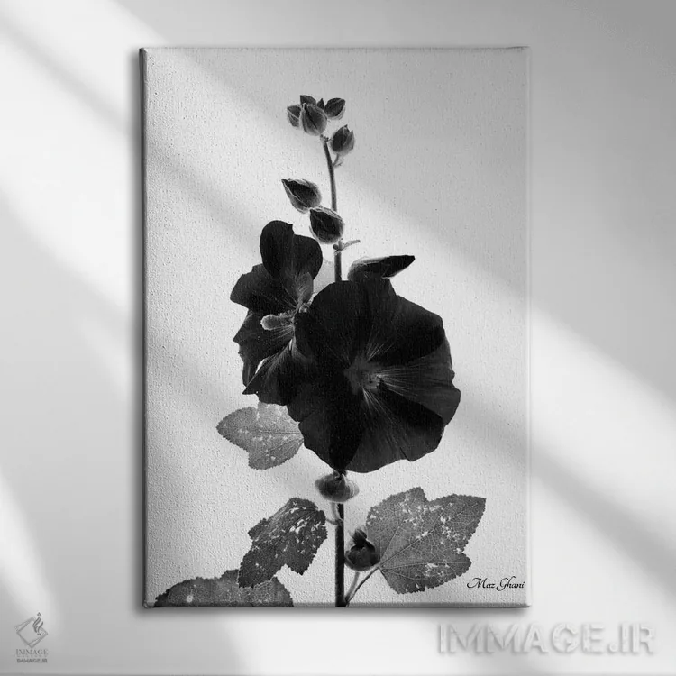 تابلو دکوراتیو به سوی شب اثر ماز غنی - نمای روبهرو روی دیوار