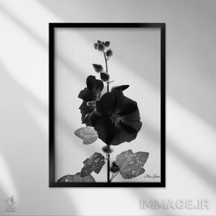 تابلو دکوراتیو به سوی شب اثر ماز غنی - نمای قابدار مشکی