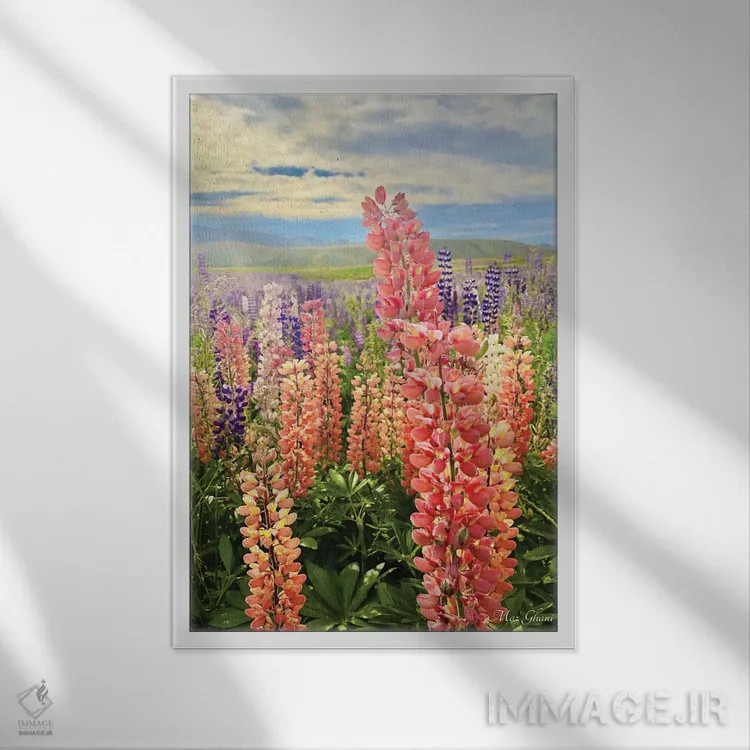 تابلو دکوراتیو لوپین اثر ماز غنی - نمای قابدار سفید