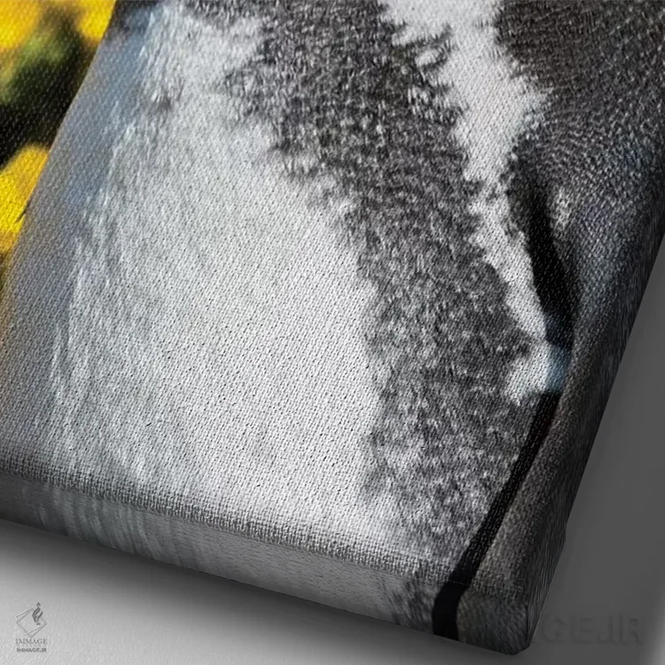 تابلو دکوراتیو Falkland Islands,پنگوئن ماژلانیک در کنار لانه و مقابل گیاه… اثر مارتین زویک - نمای نزدیک بافت بوم