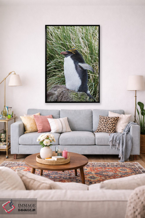 تابلو دکوراتیو پنگوئن ماکارونی ایستاده در کلونی، میان علفزارهای متراکم توس… اثر مارتین زویک - D2B