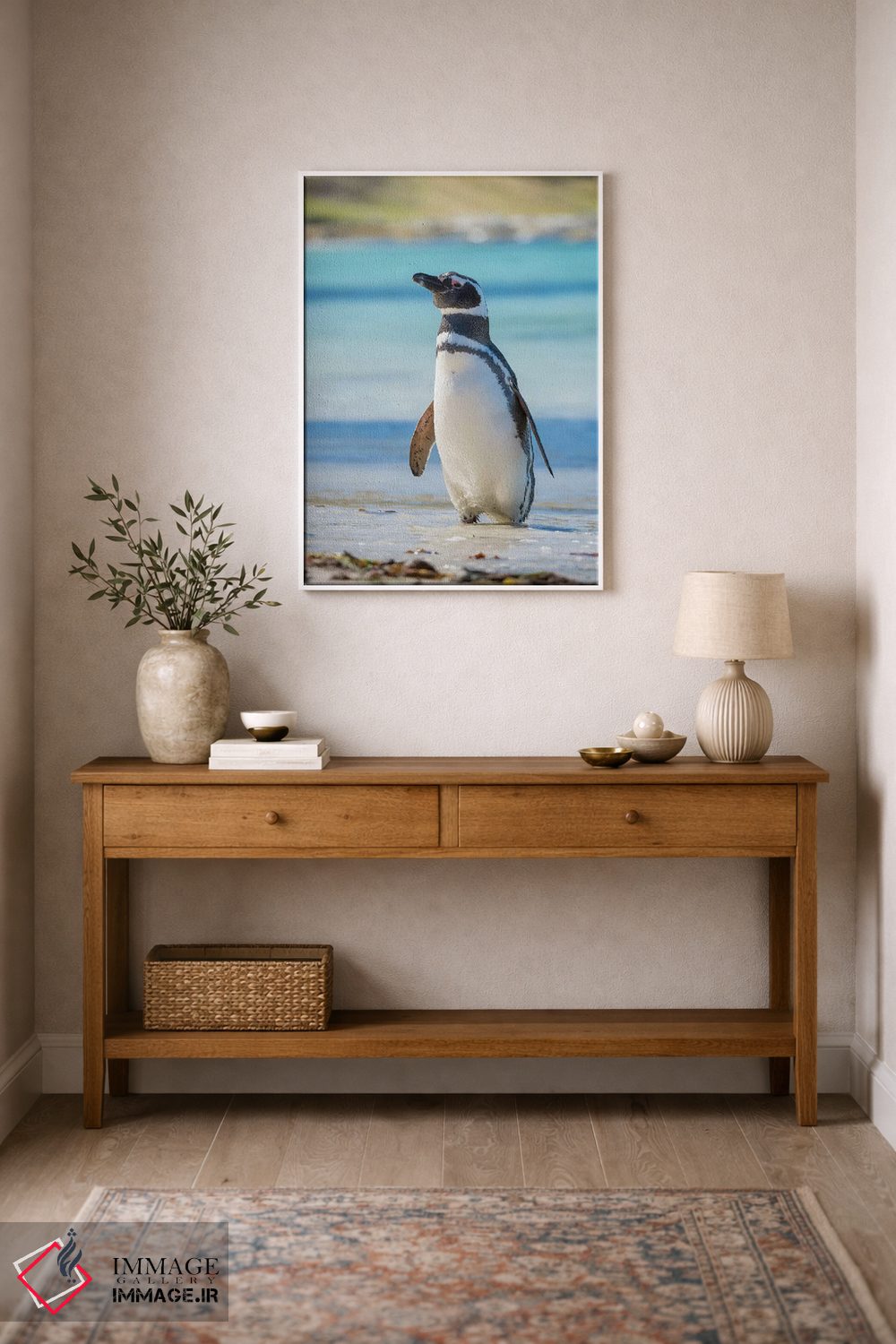 تابلو دکوراتیو Falkland Islands,پنگوئن ماژلانیک در ساحل، جزایر فالکلند اثر مارتین زویک - D1W