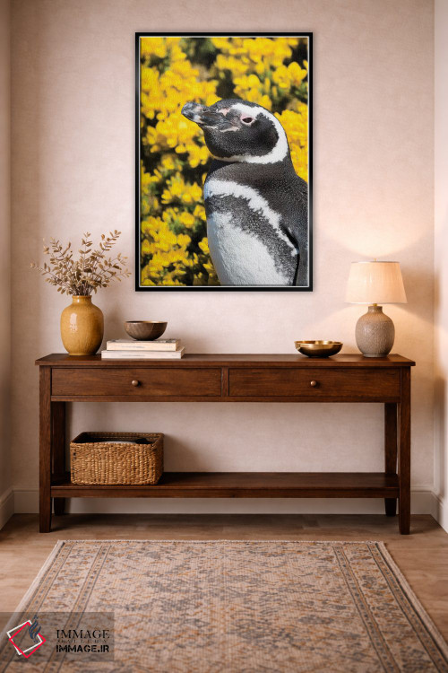 تابلو دکوراتیو Falkland Islands,پنگوئن ماژلانیک در کنار لانه و مقابل گیاه… اثر مارتین زویک - D2B