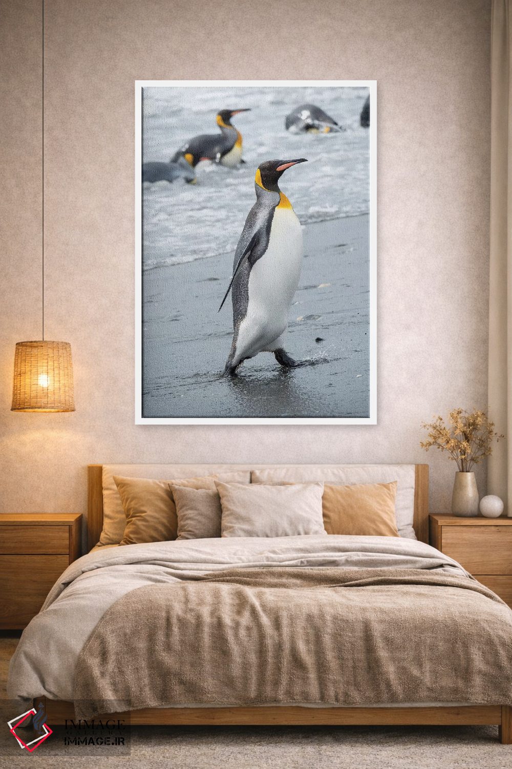 تابلو دکوراتیو کلونی پنگوئن شاه در دشت سالزبری، خلیج جزایر، جزیره جورجیای… اثر مارتین زویک - D1W