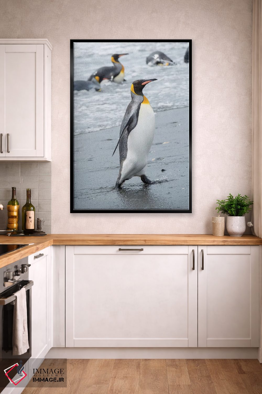 تابلو دکوراتیو کلونی پنگوئن شاه در دشت سالزبری، خلیج جزایر، جزیره جورجیای… اثر مارتین زویک - D3B