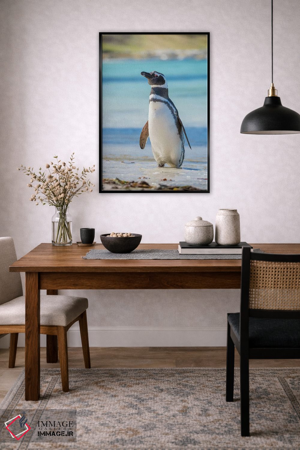 تابلو دکوراتیو Falkland Islands,پنگوئن ماژلانیک در ساحل، جزایر فالکلند اثر مارتین زویک - D6B