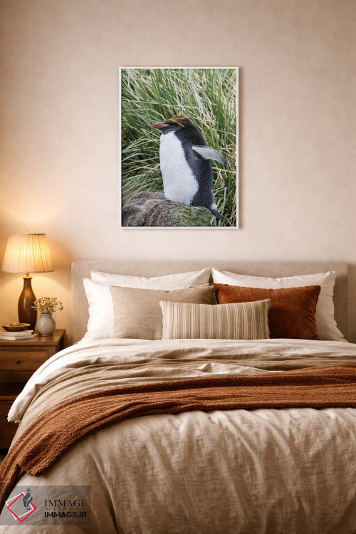 تابلو دکوراتیو پنگوئن ماکارونی ایستاده در کلونی، میان علفزارهای متراکم توس… اثر مارتین زویک - D5W