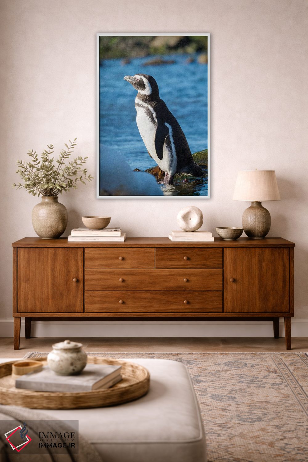 تابلو دکوراتیو Falkland Islands,پنگوئن ماژلانیک در ساحل صخره ای، جزایر فال… اثر مارتین زویک - D2W