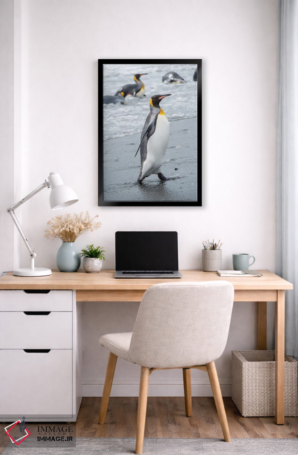 تابلو دکوراتیو کلونی پنگوئن شاه در دشت سالزبری، خلیج جزایر، جزیره جورجیای… اثر مارتین زویک - D6B
