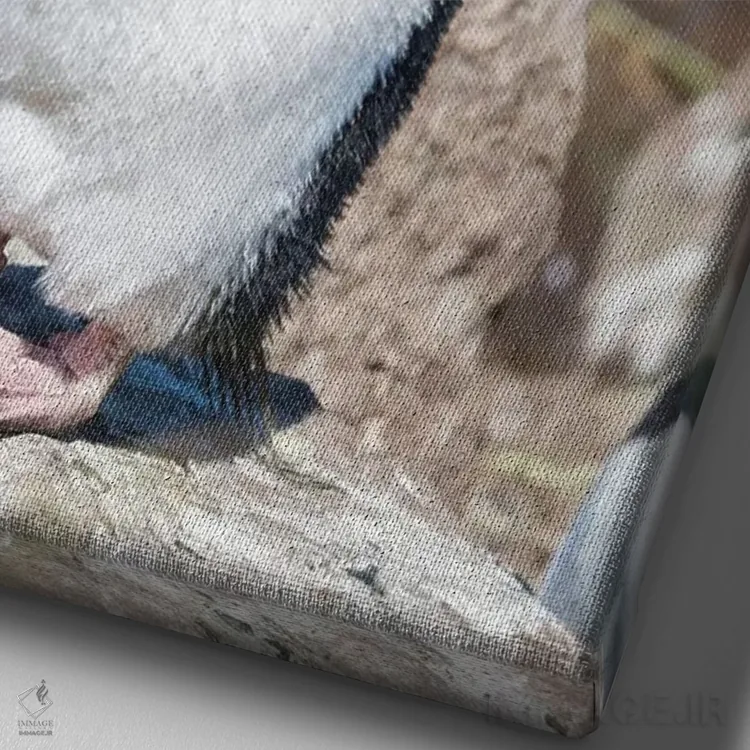 تابلو دکوراتیو subspecies western rockhopper penguin , Falkland Islands.,پ… اثر مارتین زویک - نمای نزدیک بافت بوم