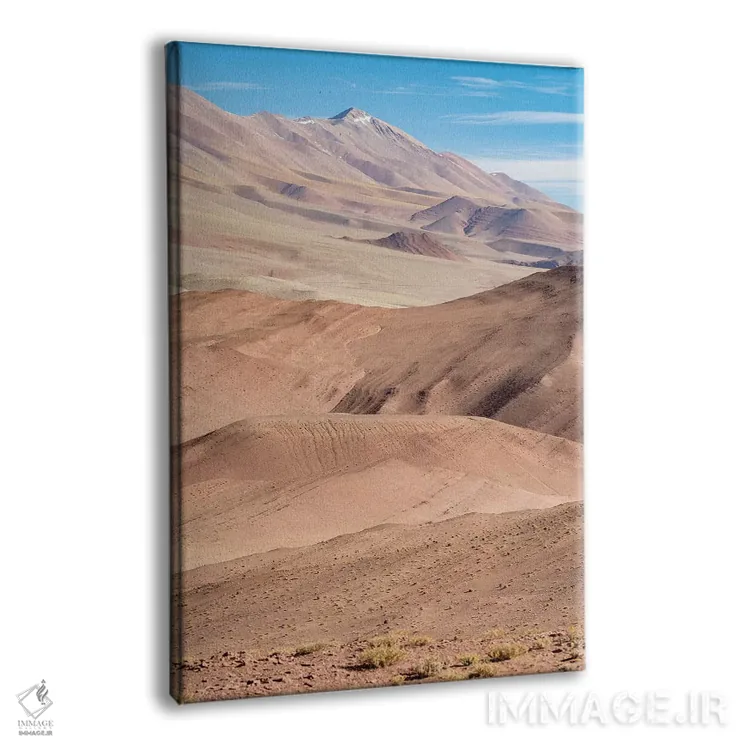 تابلو دکوراتیو Argentina,آلتپلانوی آرژانتین در مسیر جاده ۲۷ بین پوچیتوس و… اثر مارتین زویک - نمای پرسپکتیو محصول