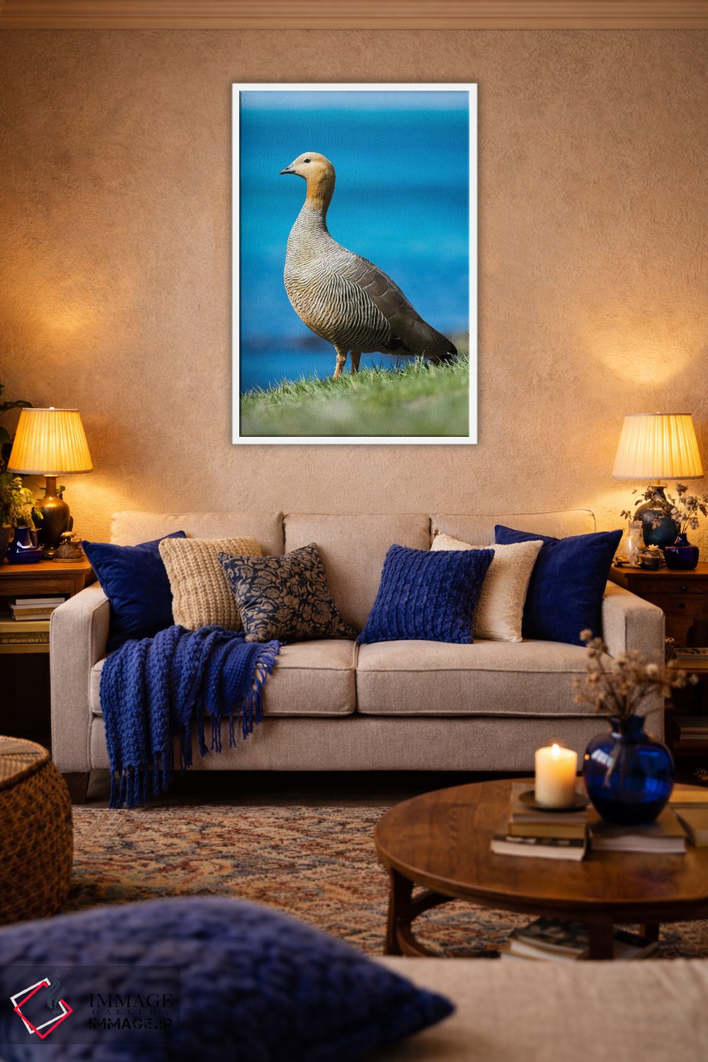 تابلو دکوراتیو Falkland Islands,غاز سرسرخ در منطقه جزر و مدی جزیره کارکاس… اثر مارتین زویک - D3W