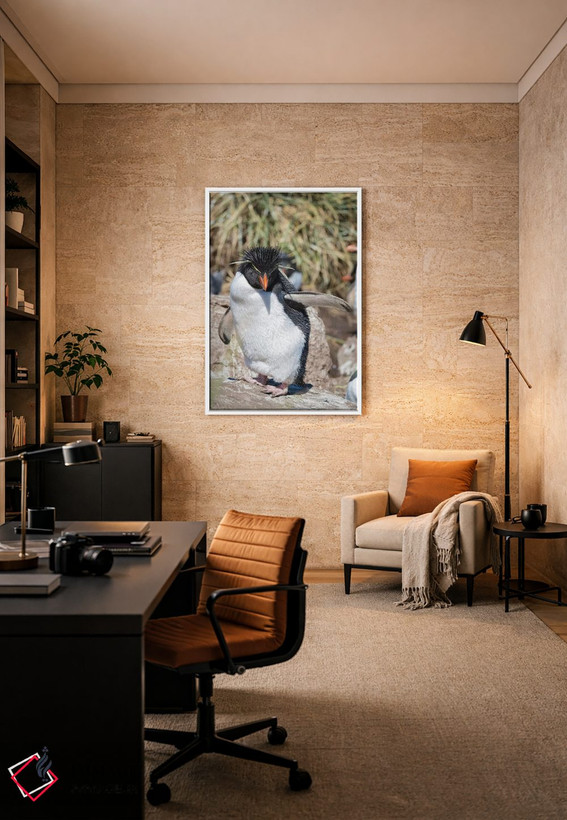 تابلو دکوراتیو subspecies western rockhopper penguin , Falkland Islands.,پ… اثر مارتین زویک - D5W
