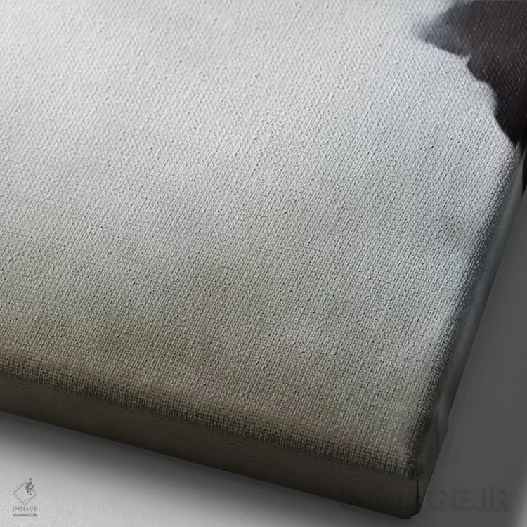 تابلو دکوراتیو Falkland Islands.,آلباتروس ابروسیاه یا مالی ماک ابروسیاه، ج… اثر مارتین زویک - نمای نزدیک بافت بوم