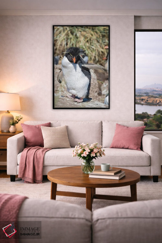 تابلو دکوراتیو subspecies western rockhopper penguin , Falkland Islands.,پ… اثر مارتین زویک - D4B