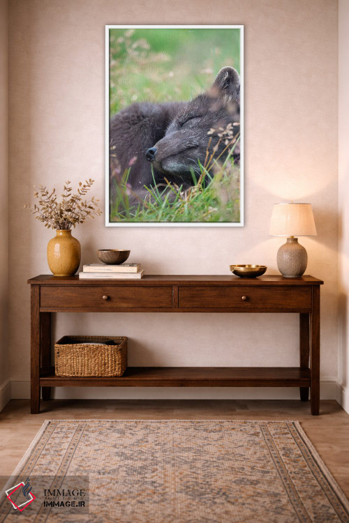 تابلو دکوراتیو Melrakkasetur Islands, Westfjords, Iceland,روباه قطبی، جزای… اثر مارتین زویک - D2W