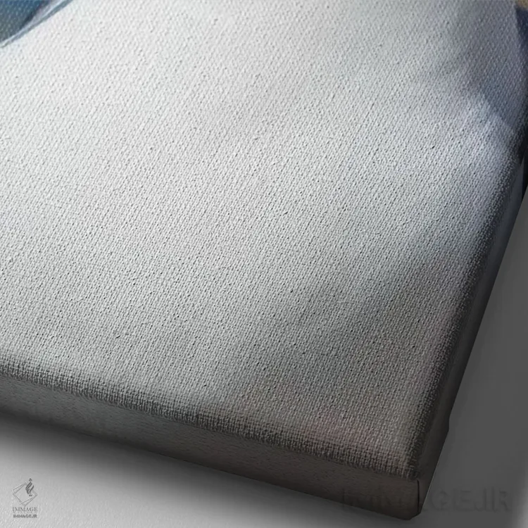 تابلو دکوراتیو Falkland Islands.,آلباتروس ابروسیاه یا مالی ماک ابروسیاه، ج… اثر مارتین زویک - نمای نزدیک بافت بوم