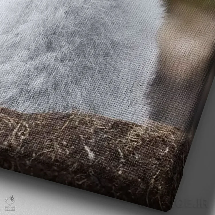 تابلو دکوراتیو Falkland Islands.,جوجه روی لانه برج مانند؛ آلباتروس ابروسیا… اثر مارتین زویک - نمای نزدیک بافت بوم