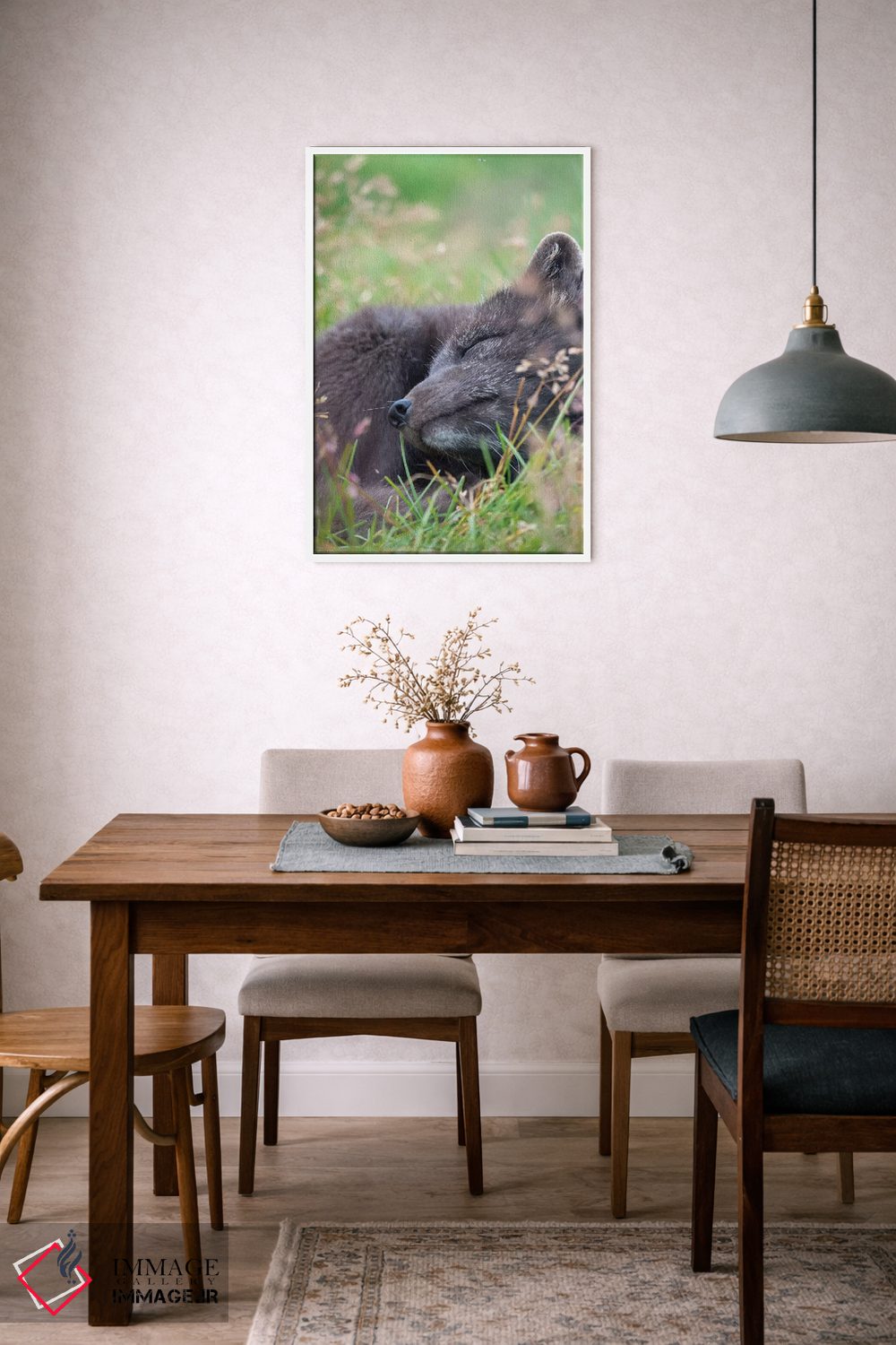 تابلو دکوراتیو Melrakkasetur Islands, Westfjords, Iceland,روباه قطبی، جزای… اثر مارتین زویک - D6W