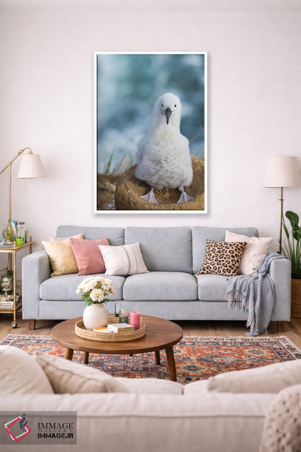 تابلو دکوراتیو Falkland Islands.,جوجه آلباتروس ابروسیاه روی لانه برج مانند… اثر مارتین زویک - D1W
