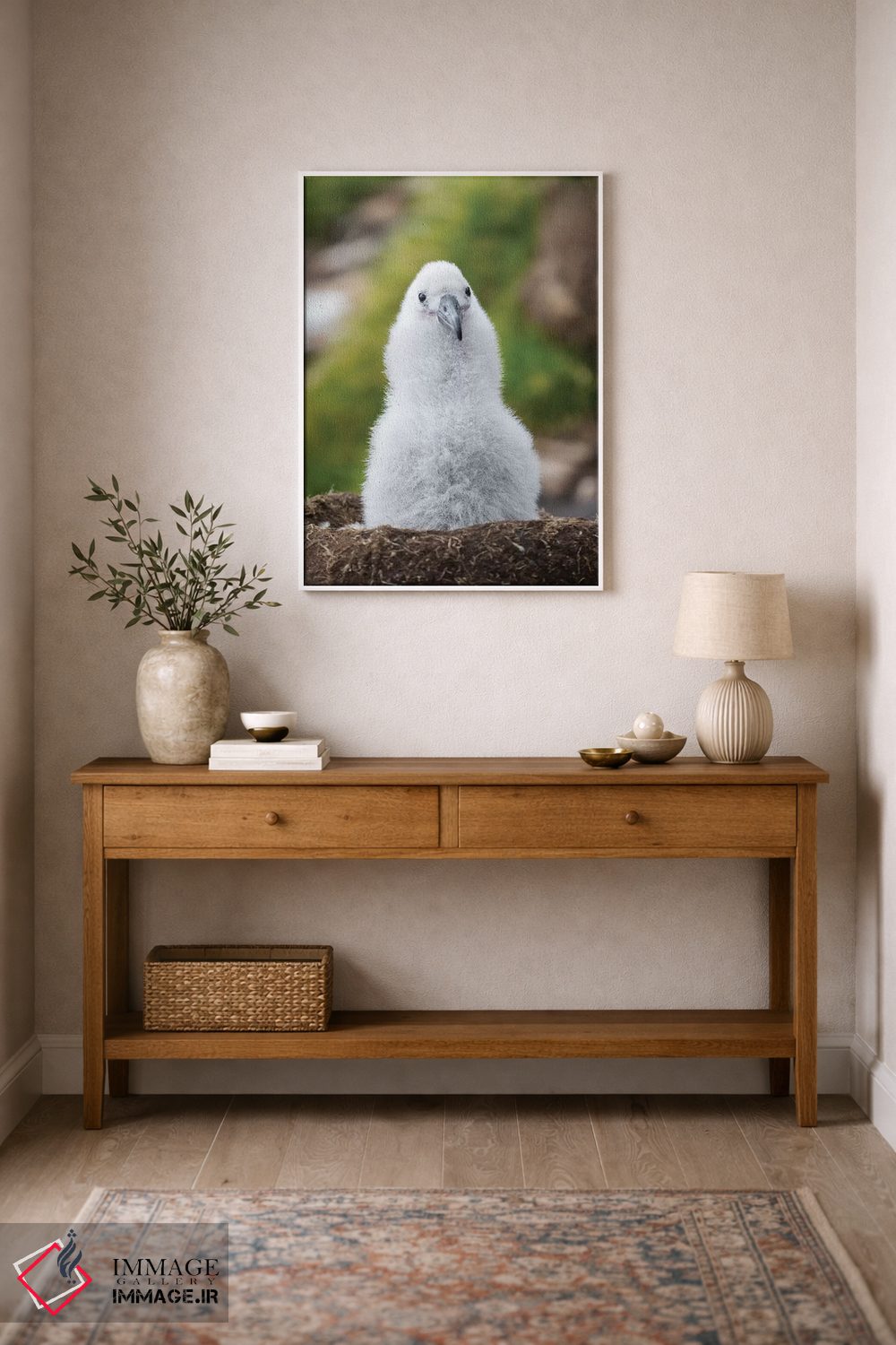 تابلو دکوراتیو Falkland Islands.,جوجه آلباتروس ابروسیاه روی لانه برج مانند… اثر مارتین زویک - D1W