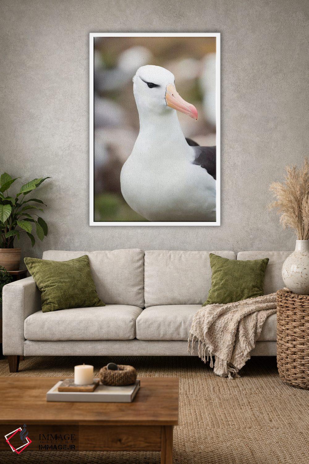 تابلو دکوراتیو Falkland Islands.,آلباتروس ابروسیاه یا مالی ماک ابروسیاه، ج… اثر مارتین زویک - D1W