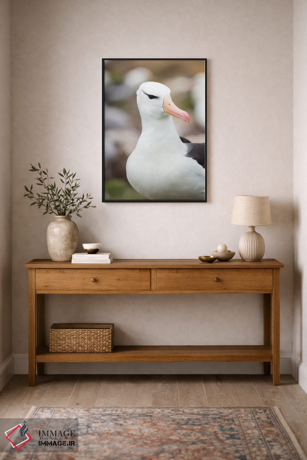 تابلو دکوراتیو Falkland Islands.,آلباتروس ابروسیاه یا مالی ماک ابروسیاه، ج… اثر مارتین زویک - D2B