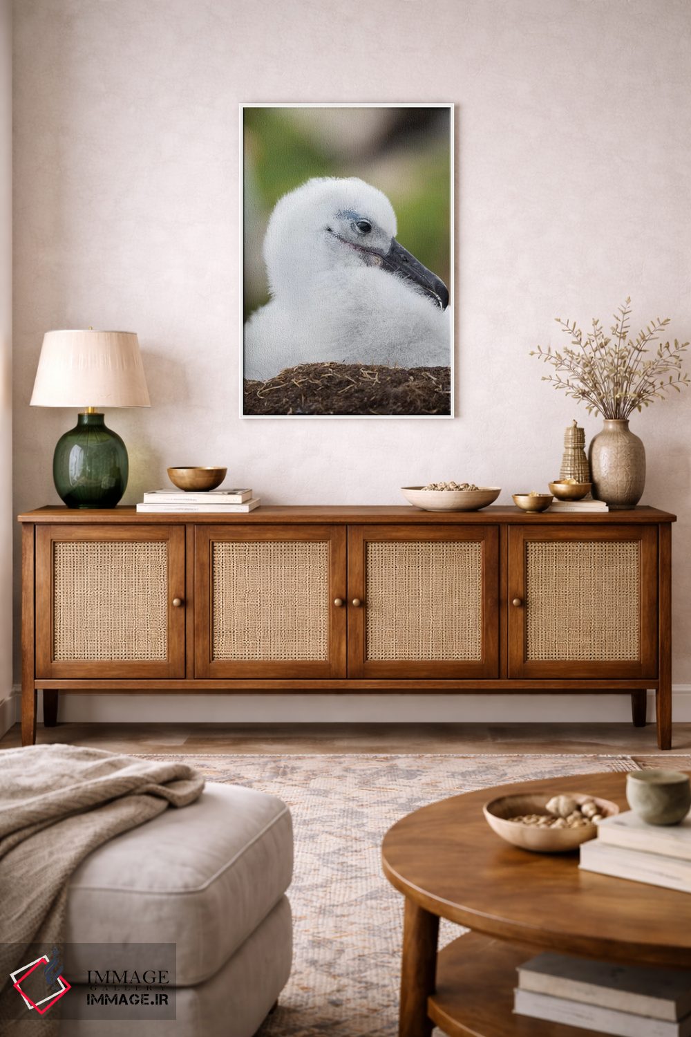 تابلو دکوراتیو Falkland Islands.,جوجه آلباتروس ابروسیاه روی لانه برج مانند… اثر مارتین زویک - D1W