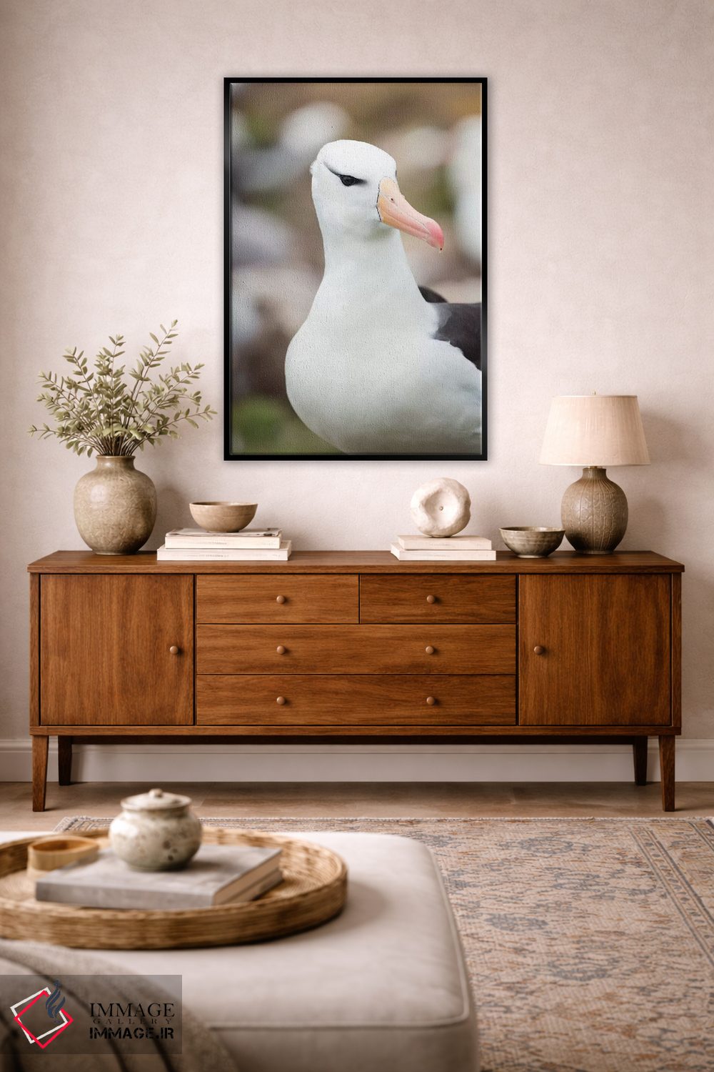 تابلو دکوراتیو Falkland Islands.,آلباتروس ابروسیاه یا مالی ماک ابروسیاه، ج… اثر مارتین زویک - D4B