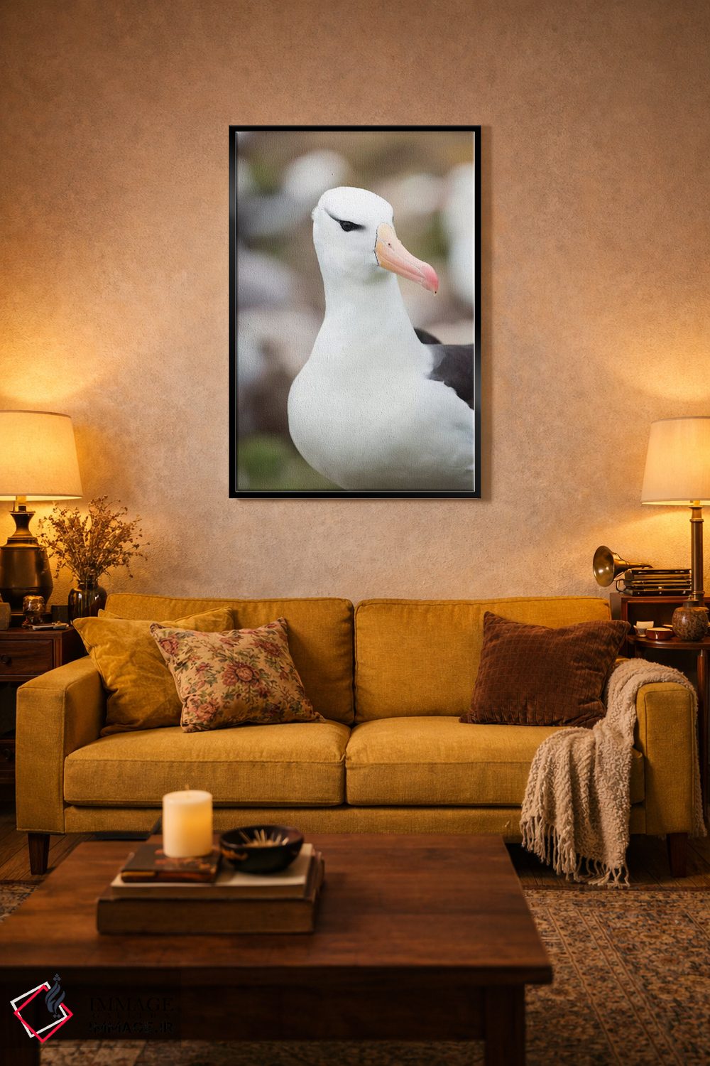 تابلو دکوراتیو Falkland Islands.,آلباتروس ابروسیاه یا مالی ماک ابروسیاه، ج… اثر مارتین زویک - D5B