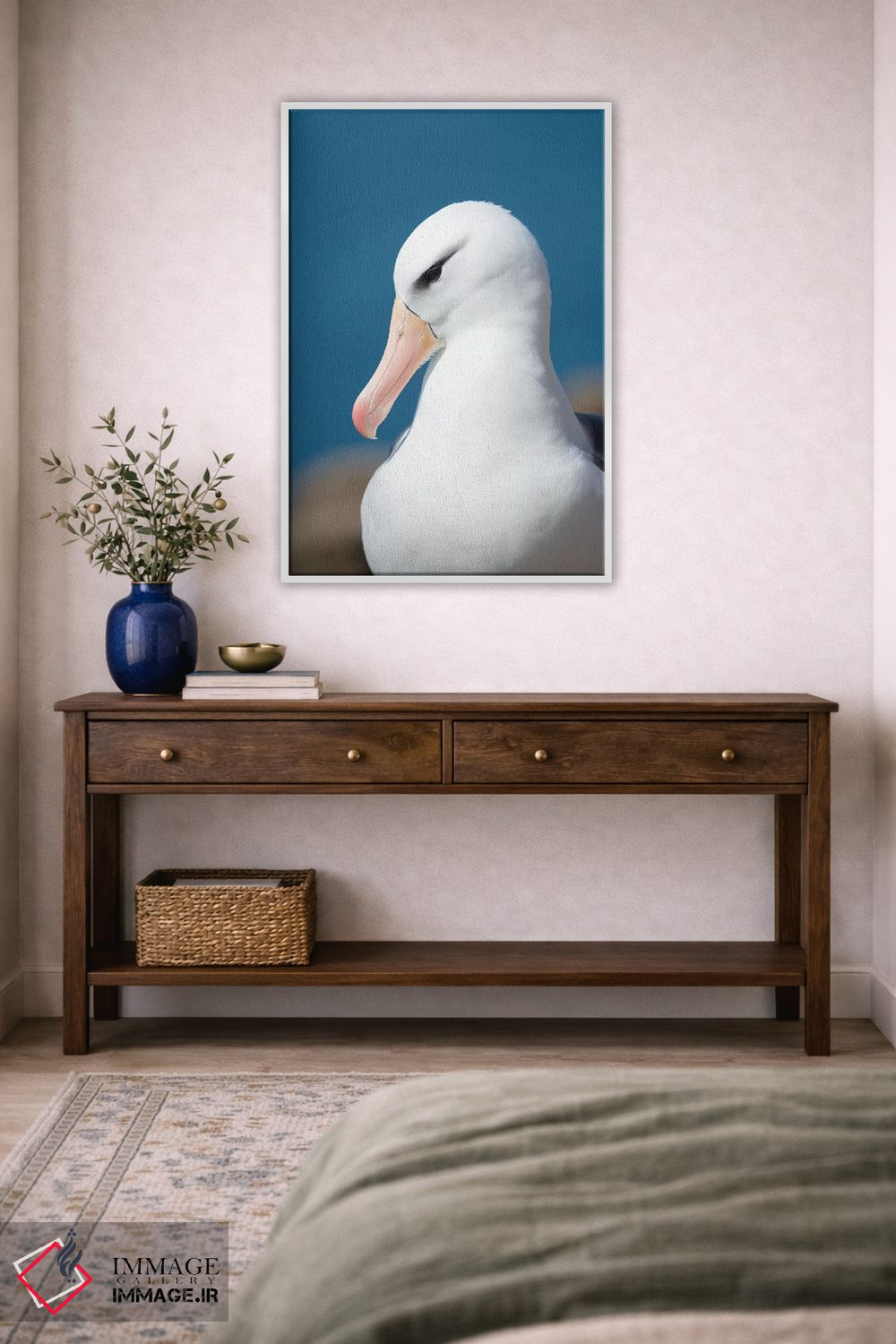 تابلو دکوراتیو Falkland Islands.,آلباتروس ابروسیاه یا مالی ماک ابروسیاه، ج… اثر مارتین زویک - D2W