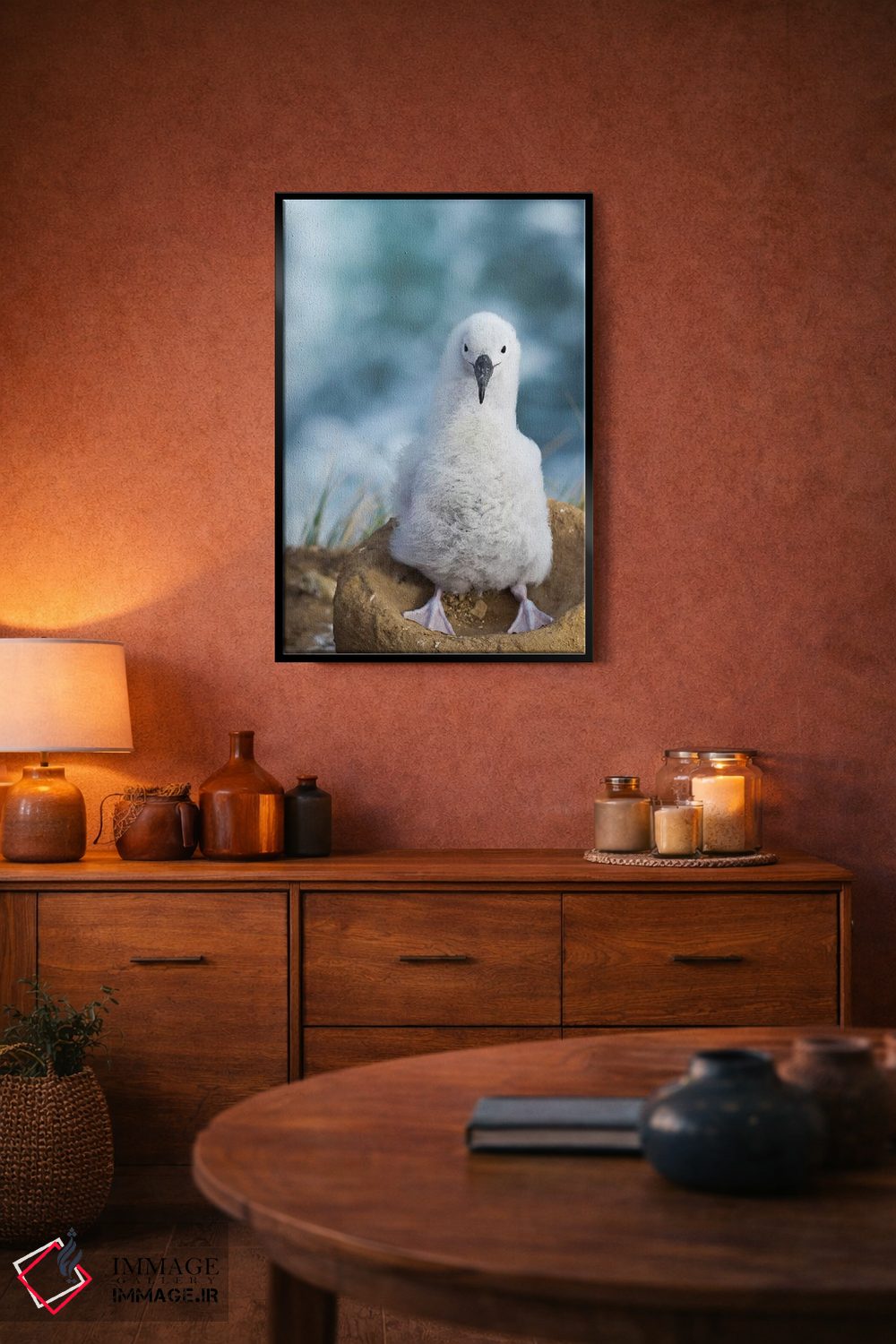 تابلو دکوراتیو Falkland Islands.,جوجه آلباتروس ابروسیاه روی لانه برج مانند… اثر مارتین زویک - D5B