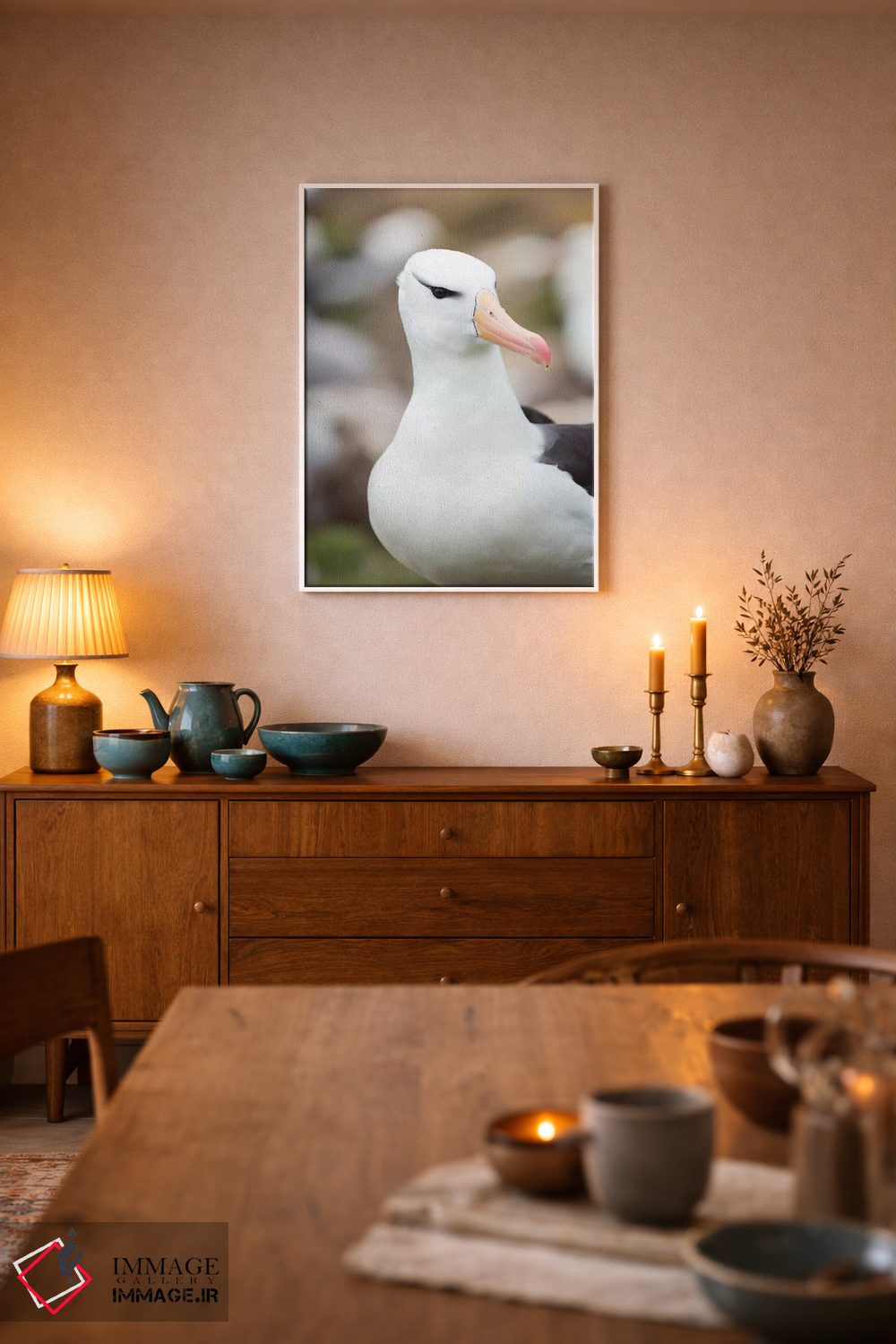 تابلو دکوراتیو Falkland Islands.,آلباتروس ابروسیاه یا مالی ماک ابروسیاه، ج… اثر مارتین زویک - D6W