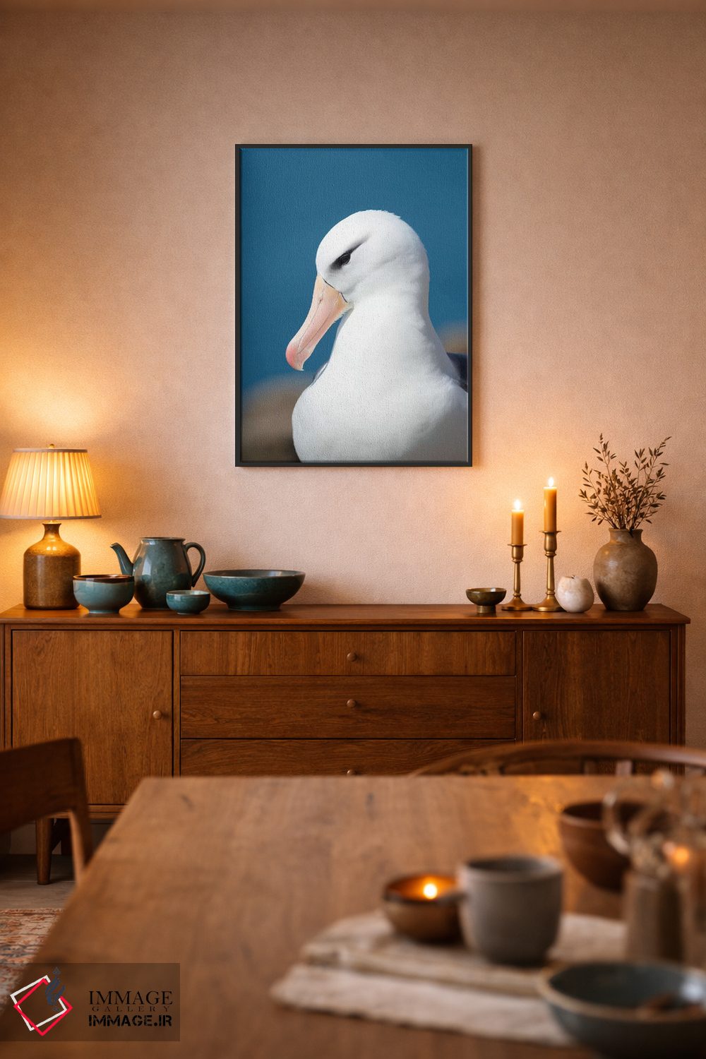 تابلو دکوراتیو Falkland Islands.,آلباتروس ابروسیاه یا مالی ماک ابروسیاه، ج… اثر مارتین زویک - D6B