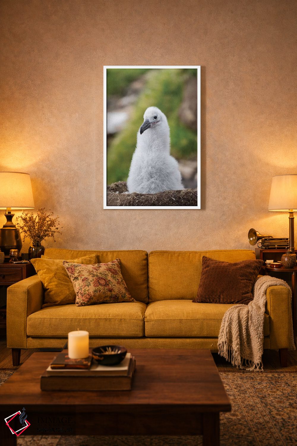 تابلو دکوراتیو Falkland Islands.,جوجه روی لانه برج مانند؛ آلباتروس ابروسیا… اثر مارتین زویک - D2W