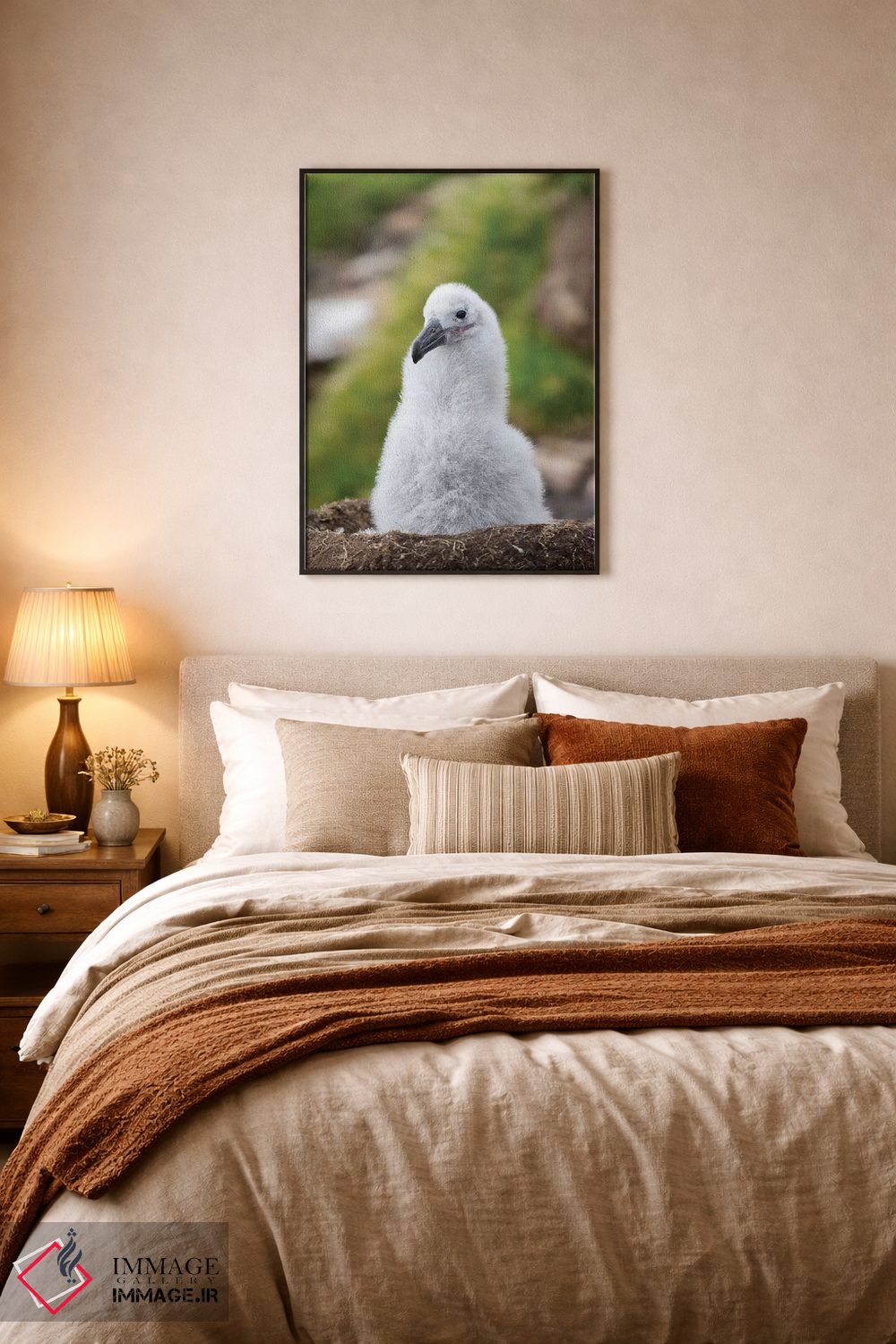 تابلو دکوراتیو Falkland Islands.,جوجه روی لانه برج مانند؛ آلباتروس ابروسیا… اثر مارتین زویک - D6B