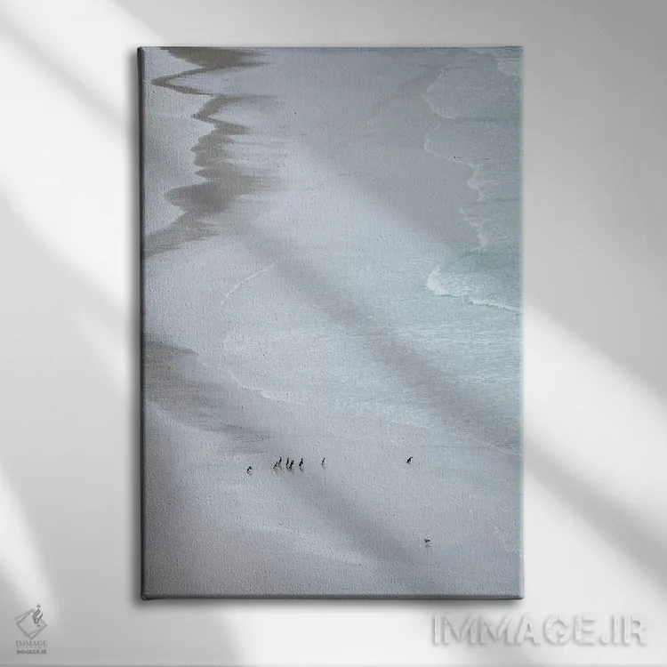 تابلو دکوراتیو Falkland Islands.,گروهی از پنگوئن ماژلانیک روی ساحل خلوت، ج… اثر مارتین زویک - نمای روبهرو روی دیوار