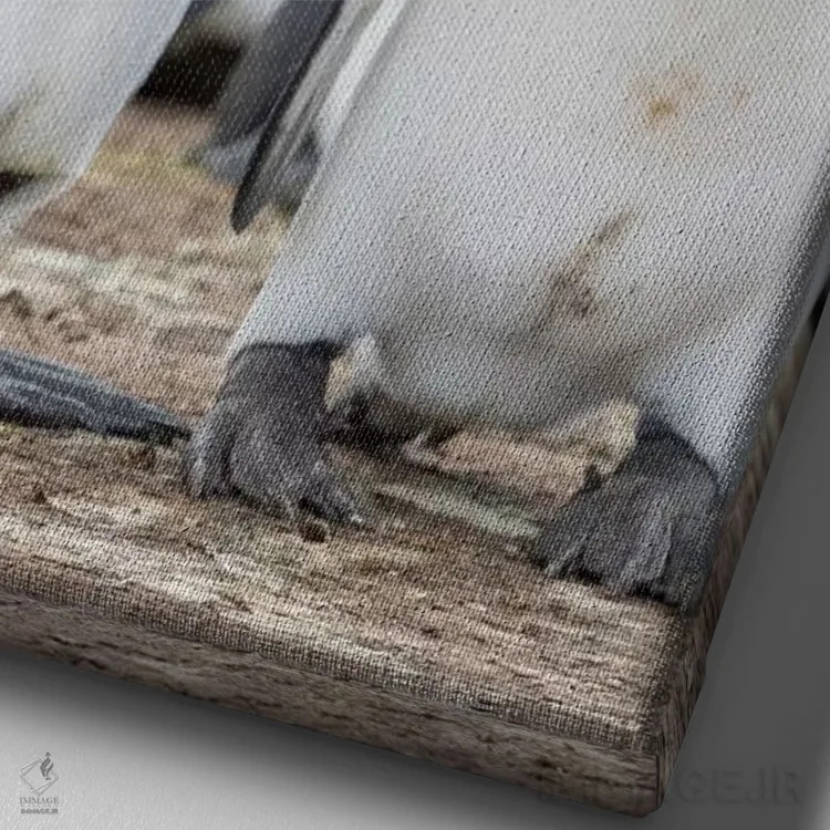 تابلو دکوراتیو نمایش خواستگاری پنگوئن شاه در جزایر فالکلند اثر مارتین زویک - نمای نزدیک بافت بوم