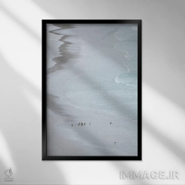 تابلو دکوراتیو Falkland Islands.,گروهی از پنگوئن ماژلانیک روی ساحل خلوت، ج… اثر مارتین زویک - نمای قابدار مشکی