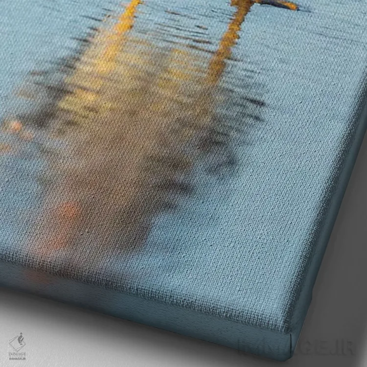 تابلو دکوراتیو Female A Greenish Beak, Falkland Islands.,اردک بی پرواز فال… اثر مارتین زویک - نمای نزدیک بافت بوم