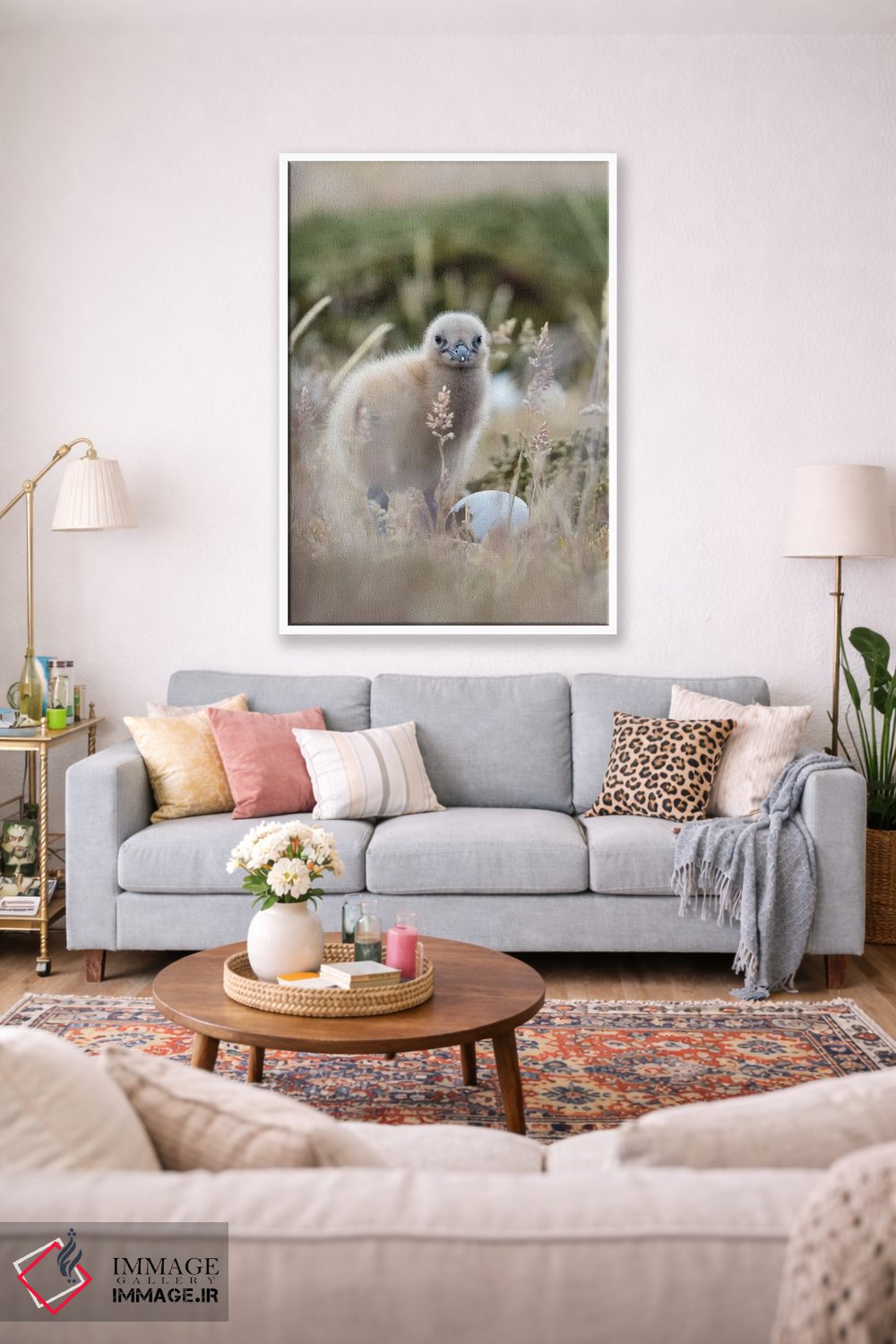 تابلو دکوراتیو Falkland Islands.,جوجه اسکوآ فالکلند، جزایر فالکلند اثر مارتین زویک - D1W