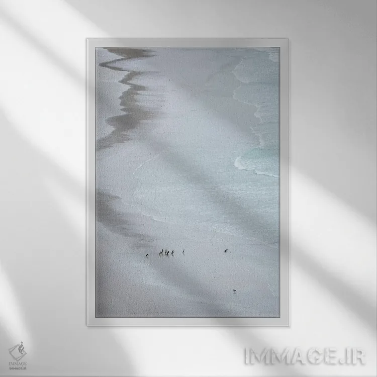 تابلو دکوراتیو Falkland Islands.,گروهی از پنگوئن ماژلانیک روی ساحل خلوت، ج… اثر مارتین زویک - نمای قابدار سفید