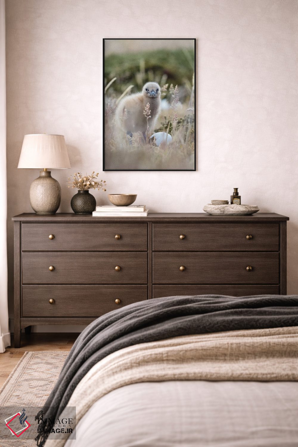 تابلو دکوراتیو Falkland Islands.,جوجه اسکوآ فالکلند، جزایر فالکلند اثر مارتین زویک - D5B