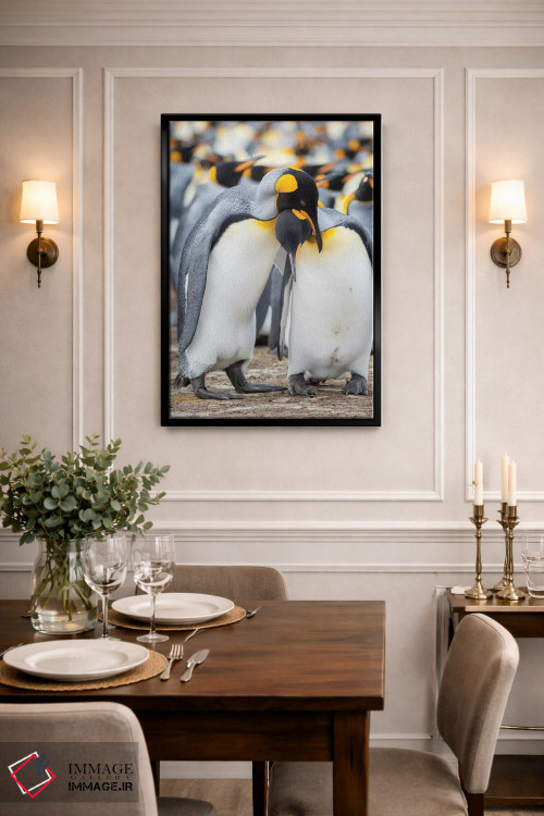 تابلو دکوراتیو نمایش خواستگاری پنگوئن شاه در جزایر فالکلند اثر مارتین زویک - D2B