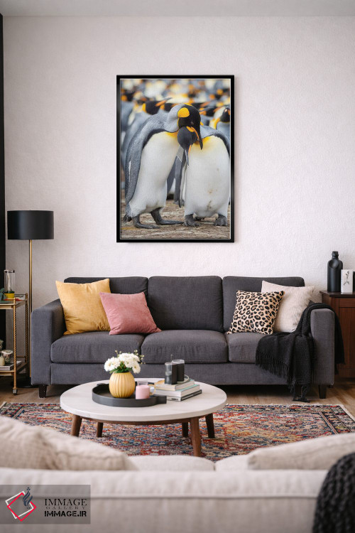 تابلو دکوراتیو نمایش خواستگاری پنگوئن شاه در جزایر فالکلند اثر مارتین زویک - D3B
