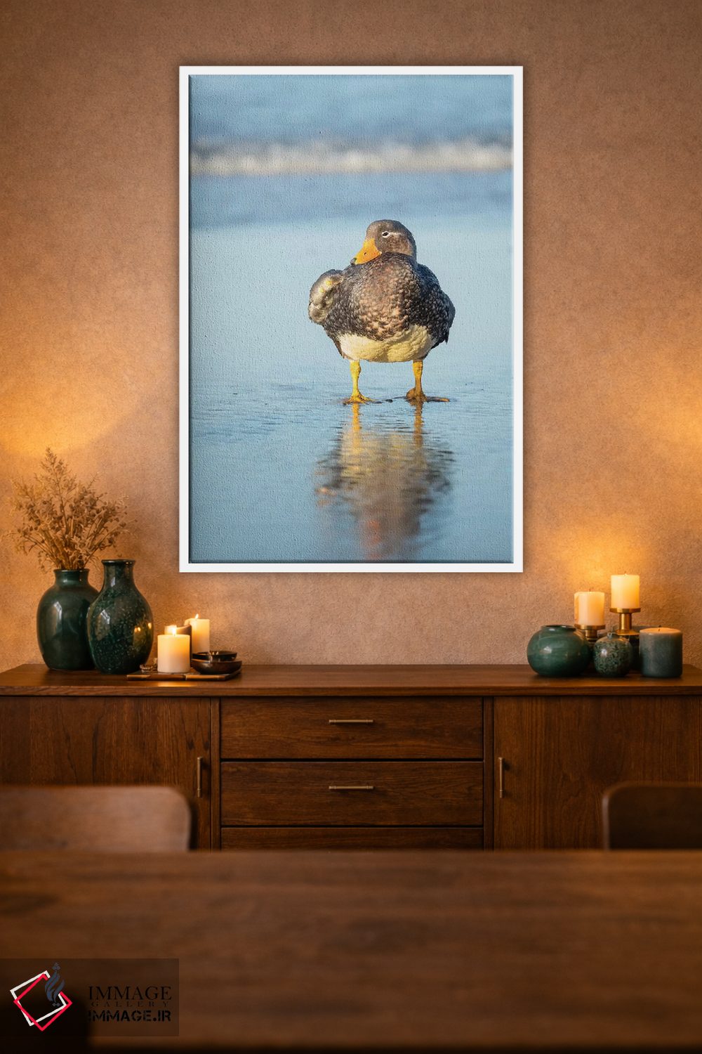تابلو دکوراتیو Female A Greenish Beak, Falkland Islands.,اردک بی پرواز فال… اثر مارتین زویک - D2W